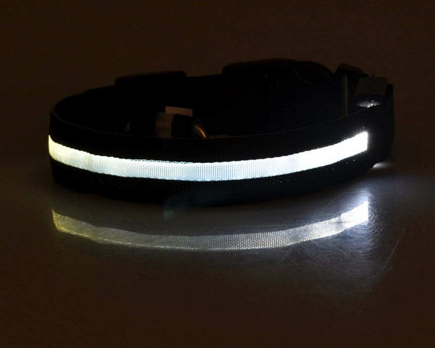 Tailverge SafeBeam Collar