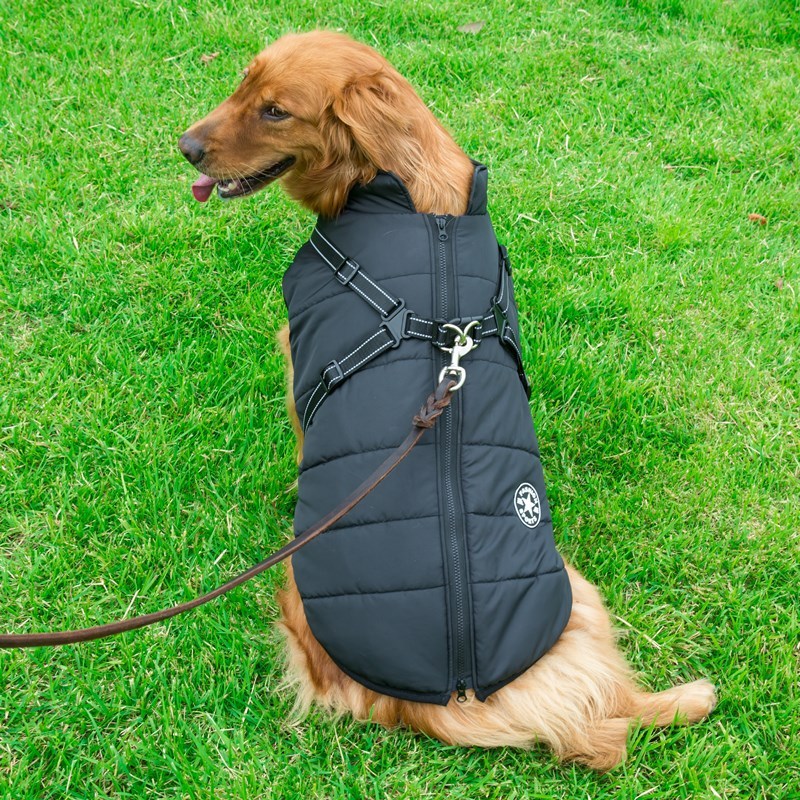 Tailverge SafeStride Coat