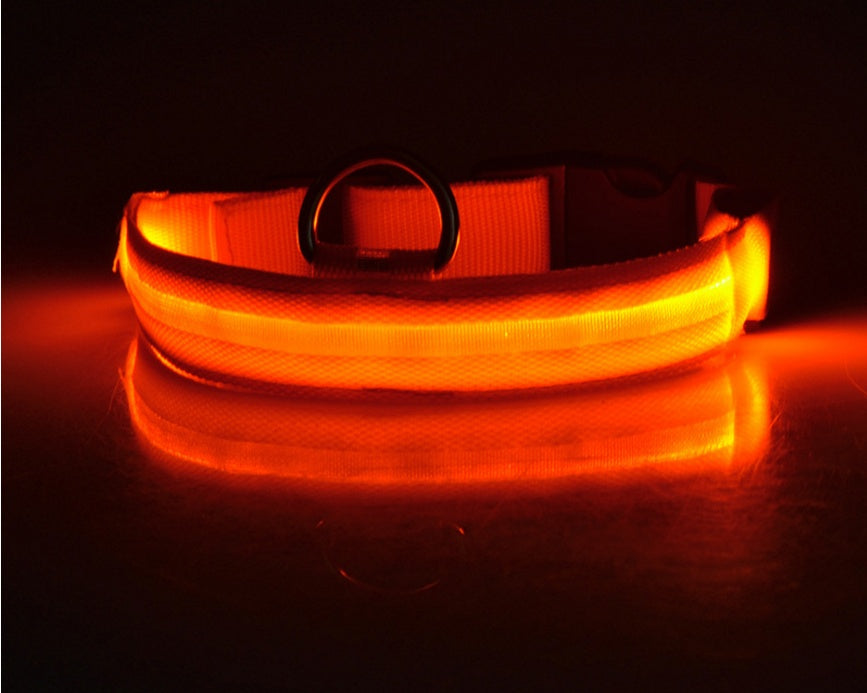 Tailverge SafeBeam Collar