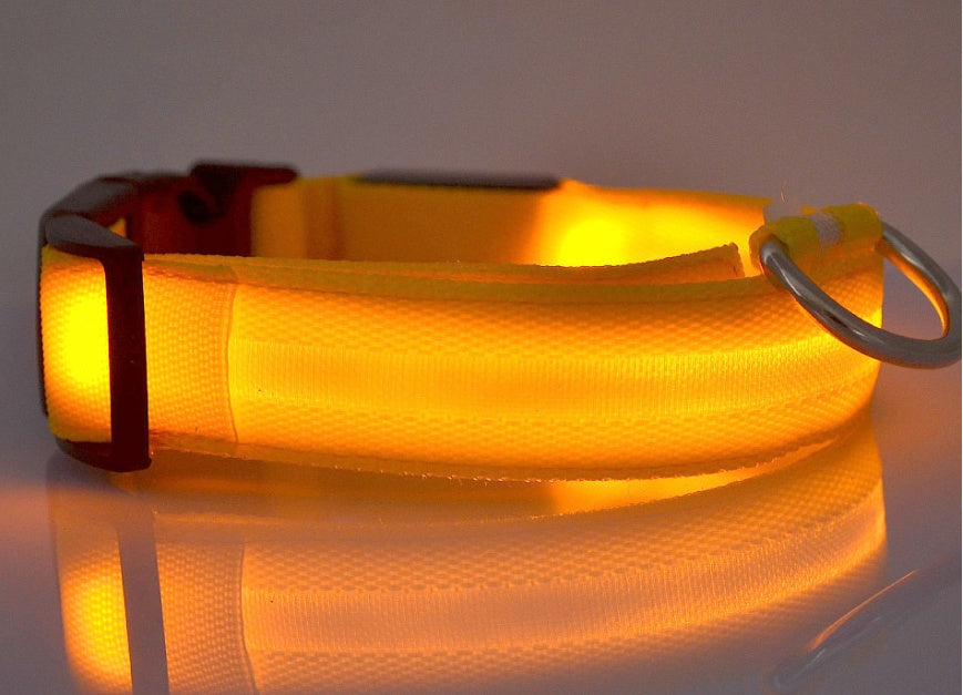 Tailverge SafeBeam Collar