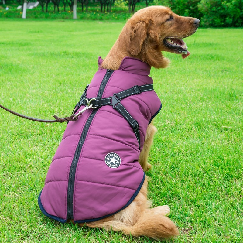 Tailverge SafeStride Coat