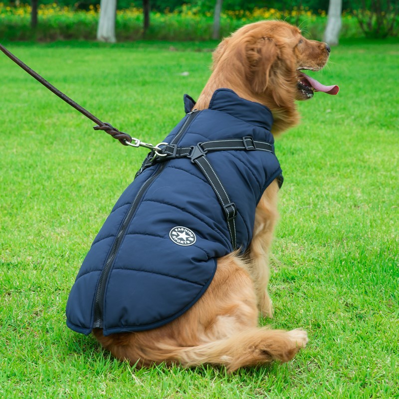 Tailverge SafeStride Coat