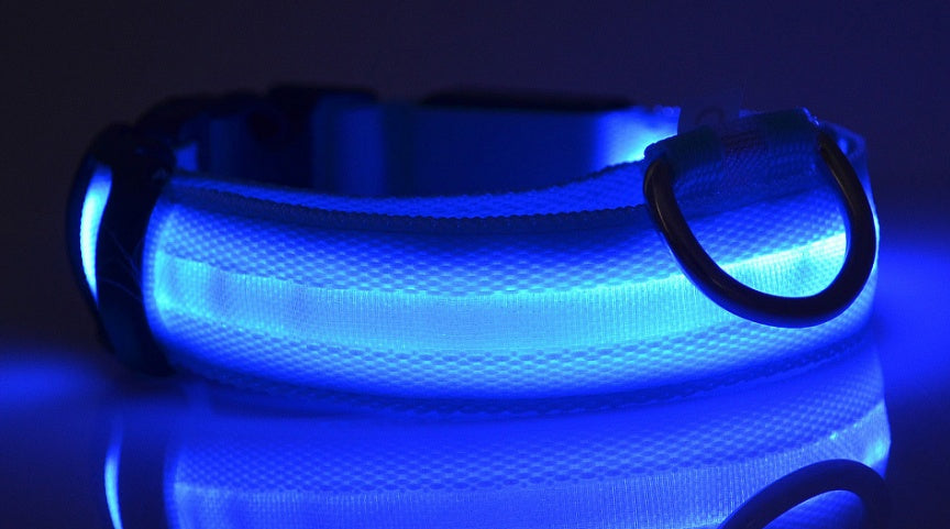 Tailverge SafeBeam Collar