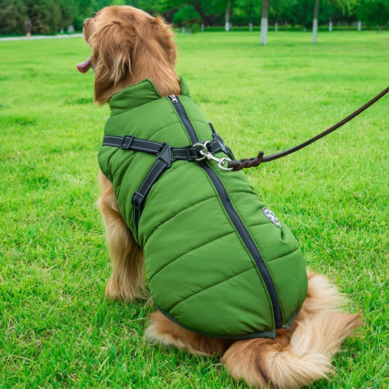 Tailverge SafeStride Coat