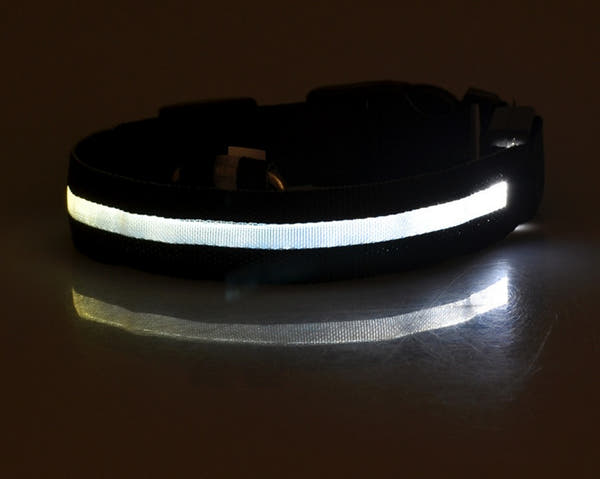 Tailverge SafeBeam Collar