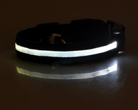 Tailverge SafeBeam Collar