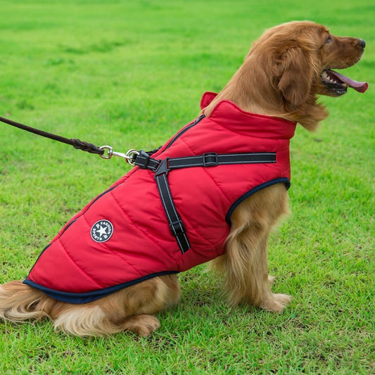 Tailverge SafeStride Coat