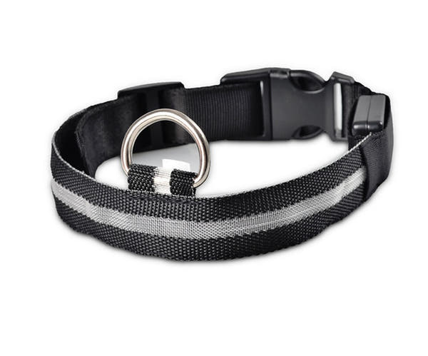 Tailverge SafeBeam Collar