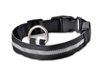 Tailverge SafeBeam Collar