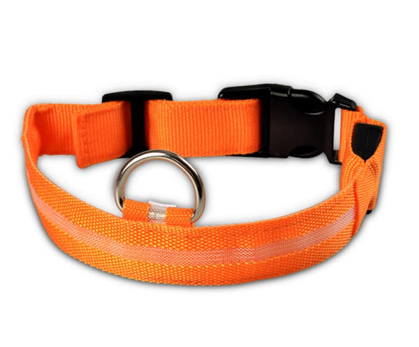 Tailverge SafeBeam Collar