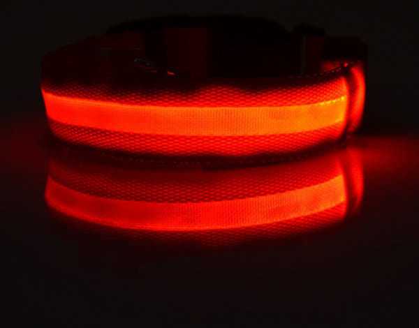 Tailverge SafeBeam Collar