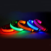 Tailverge SafeBeam Collar