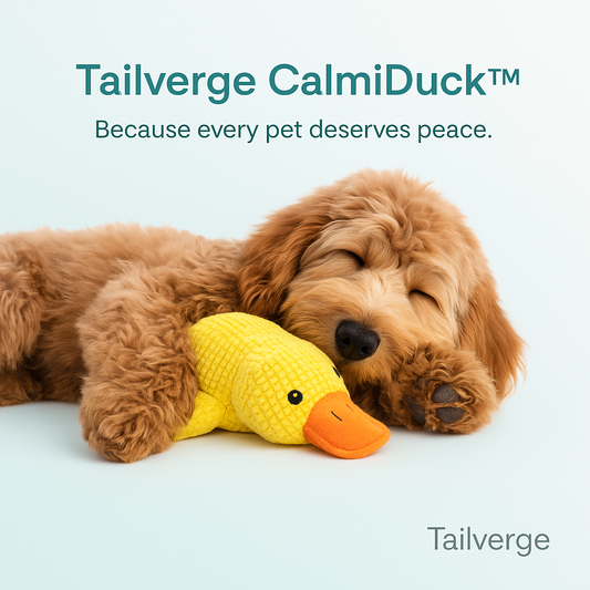 CalmiDuck™ - Calming Toy