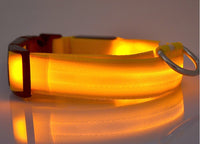 Tailverge SafeBeam Collar