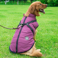 Tailverge SafeStride Coat